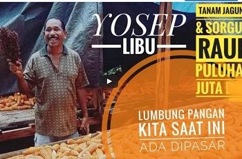 Yosep Libu: Tanam Sorgum dan Jagung Panen Puluhan Juta Rp