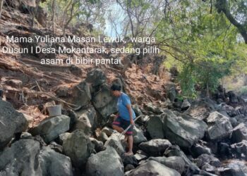 Tongkat  Kayu dan Batu Jadi Pendapatan