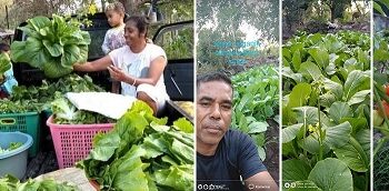 Sampingan Bapa Suban Arep hasilkan Uang Jutaan Rupiah.