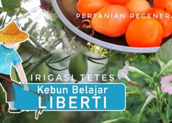 Kebun Belajar LIBERTI-YPPS