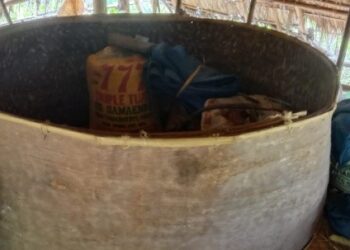 “Koka”, Media Penyimpan Benih Adaptif Iklim