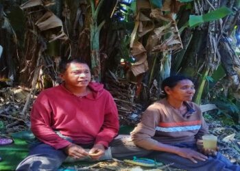 Dominikus Dosi Beribe: Berkebun Tanpa Bahan Kimia