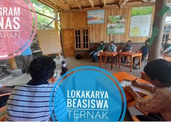 Menjadi Peternak di Flores Timur, Pasar Selalu Ada disekitar Kita