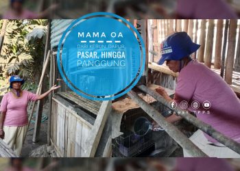 Dari Kebun, Dapur, Pasar, hingga Panggung